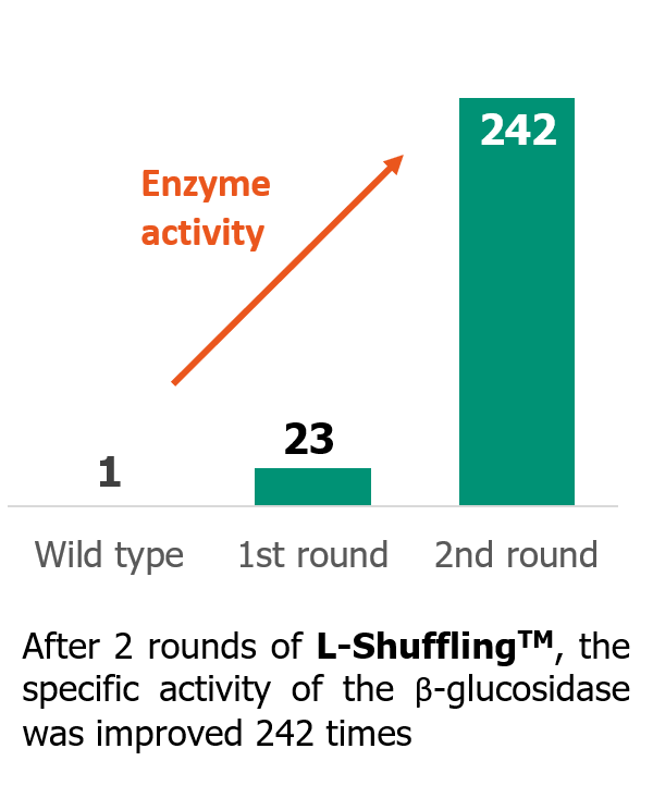 Beta-glucosidase-activity-improvement-after-2-rounds-of-directed-evolution-using-L-Shuffling